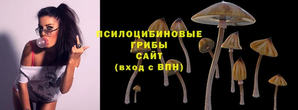 ГАЛЛЮЦИНОГЕННЫЕ ГРИБЫ Алексин