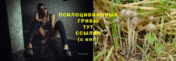 ГАЛЛЮЦИНОГЕННЫЕ ГРИБЫ Алексин