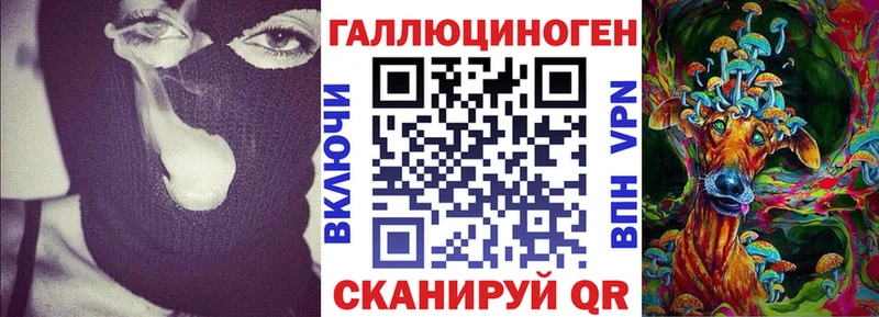 мега как войти Гаврилов Посад Галлюциногенные грибы Psilocybe